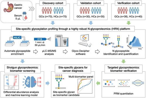 大連化物所成功開發高精度蛋白質組分析系統，初步臨床結果亮眼