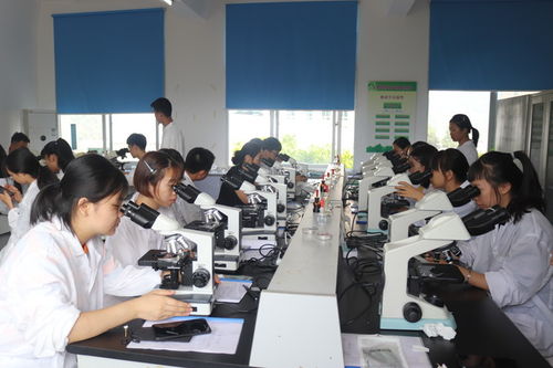 生物技術專業簡介 前沿研究與創新開發