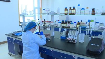 【新時代 新征程 新偉業(yè)】科技引領(lǐng)新突破 甘州區(qū)兩項(xiàng)生物技術(shù)項(xiàng)目獲省級重大專項(xiàng)立項(xiàng)