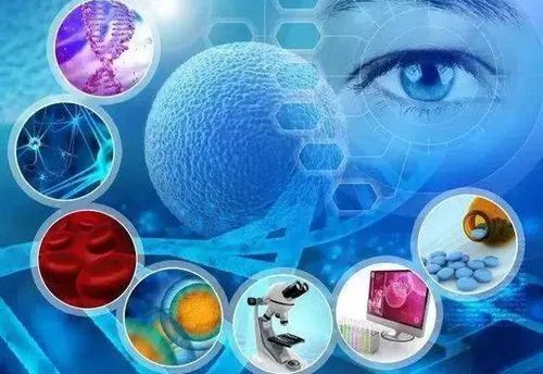 生物科學(xué)與生命科學(xué)的區(qū)別(二) 聚焦生物技術(shù)研究與開發(fā)