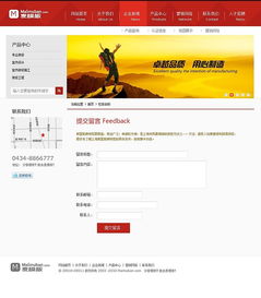 網(wǎng)站設(shè)計(jì)與網(wǎng)頁設(shè)計(jì) 數(shù)字時(shí)代的視覺與功能交響曲